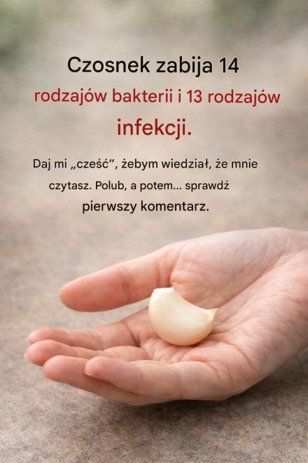 Czy to prawda, że czosnek zabija 14 rodzajów bakterii i 13 rodzajów infekcji?