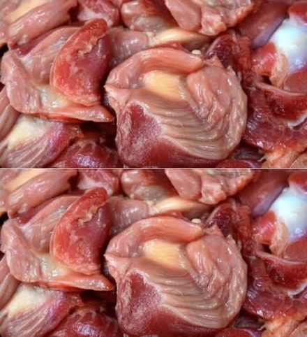 Czy wiesz, że jeśli jesz żołądki kurczaka, nie musisz przyjmować…Zobacz więcej