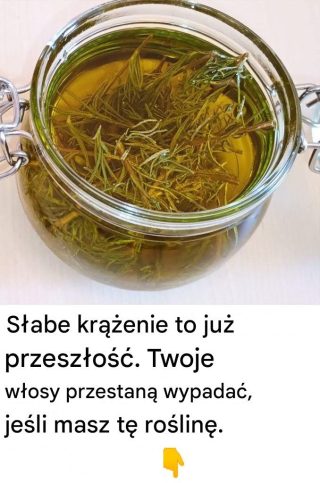 Słabe krążenie to już przeszłość. Twoje włosy przestaną wypadać, jeśli masz tę roślinę.