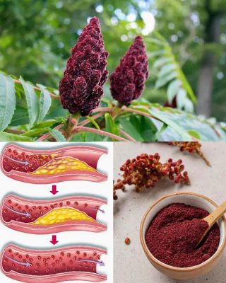 Jeśli widzisz to drzewo, siedzisz na złocie