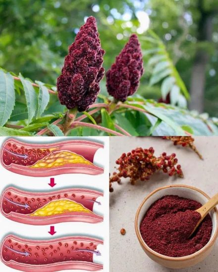 Jeśli widzisz to drzewo, siedzisz na złocie