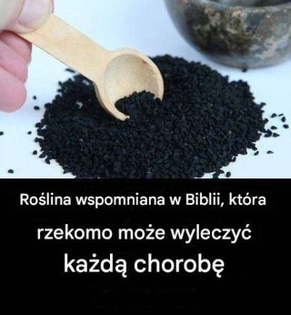 Roślina lecznicza z Biblii: ponadczasowy środek