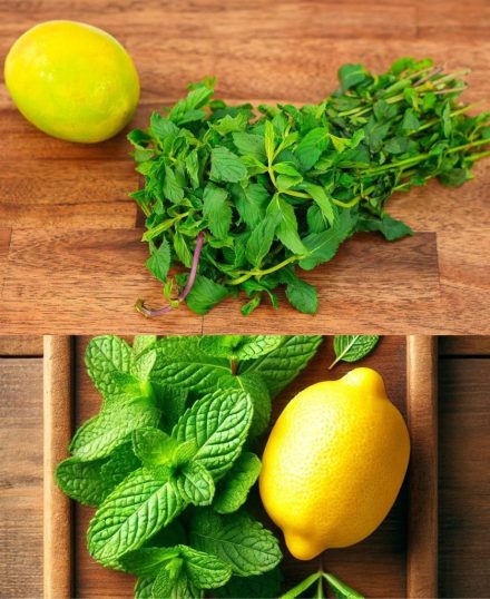 Ten napar miętowy to naturalne i smaczne rozwiązanie 😍😍👇👇